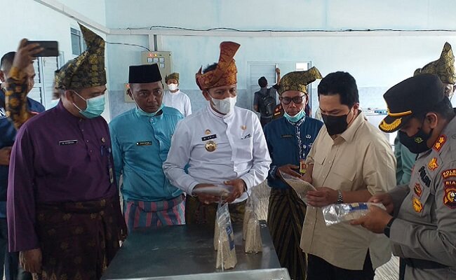 infosawit