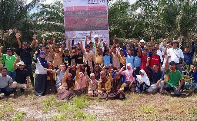 infosawit