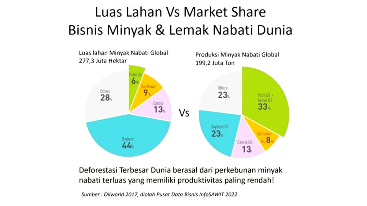 infosawit