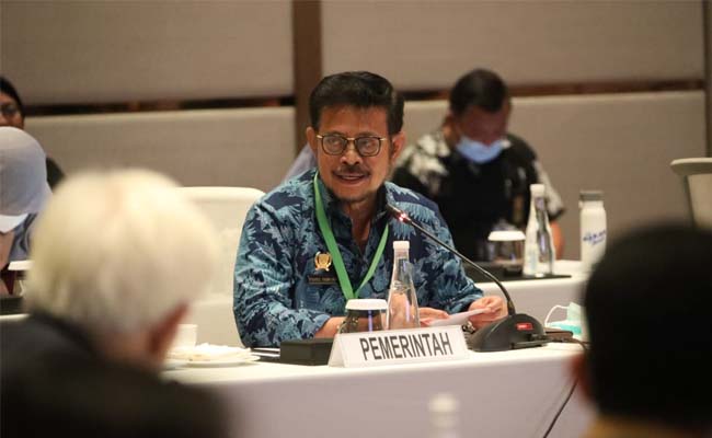 infosawit