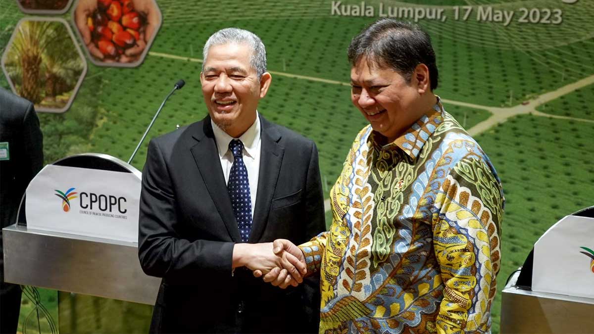 infosawit