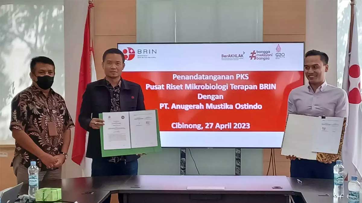 infosawit