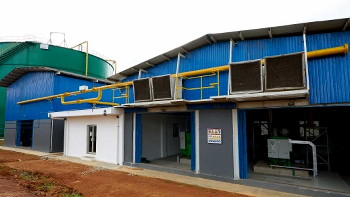 infosawit