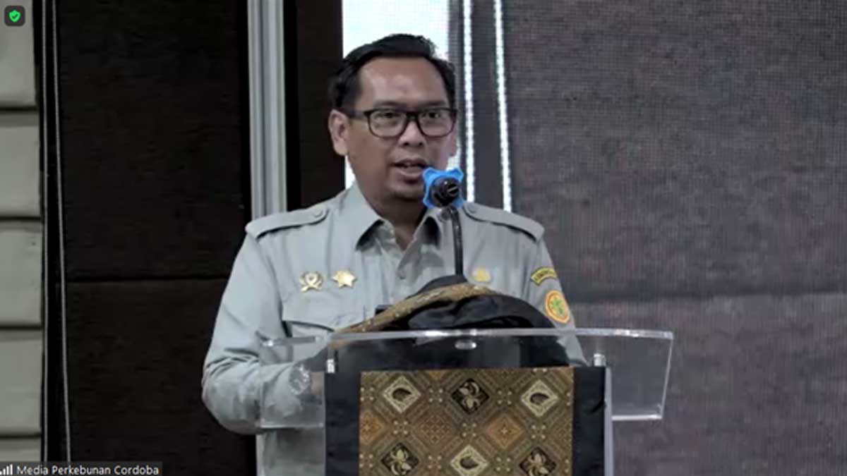 infosawit