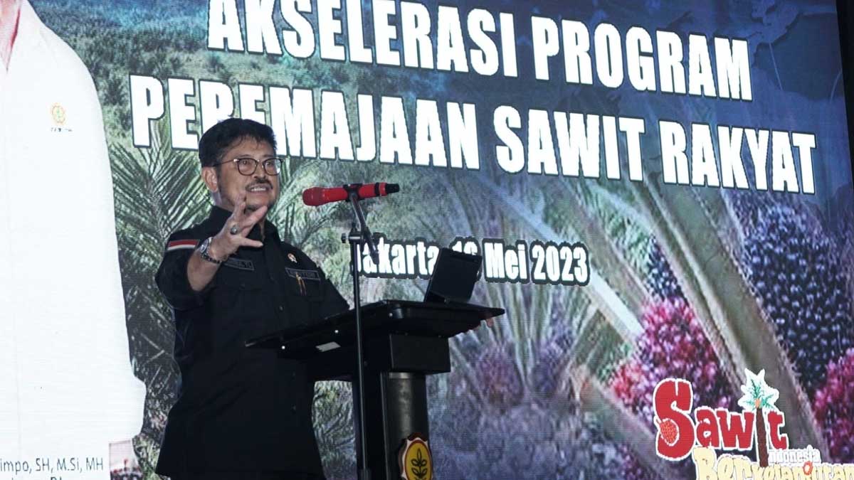 infosawit