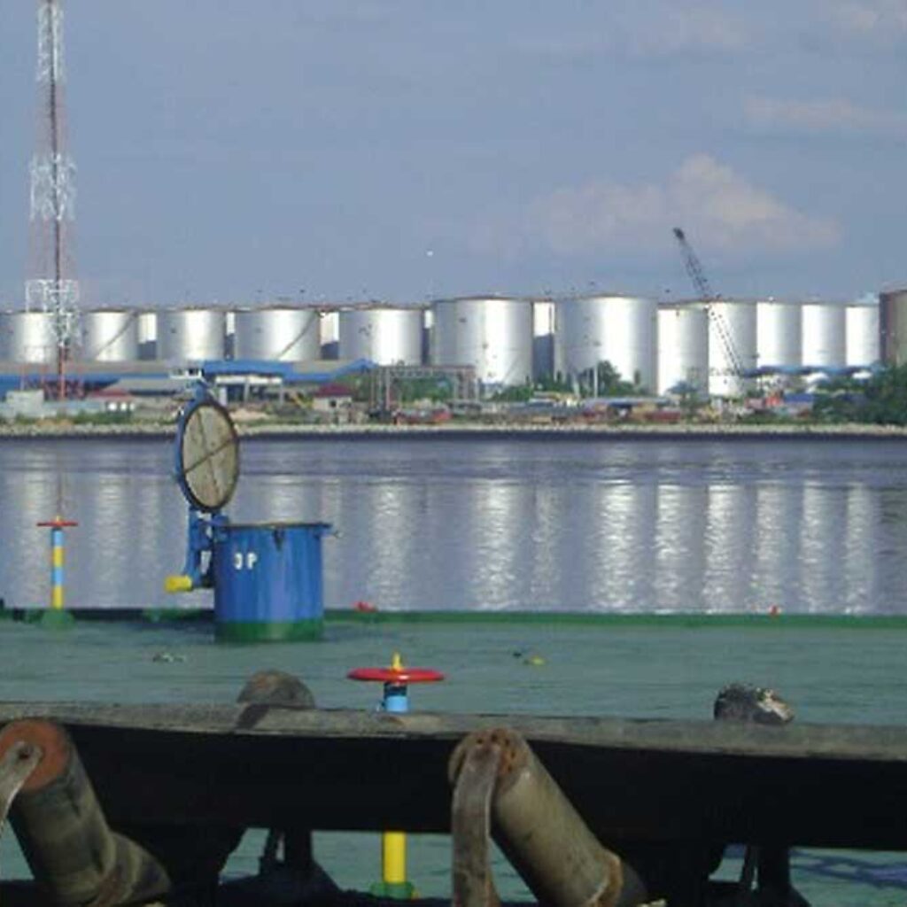 infosawit