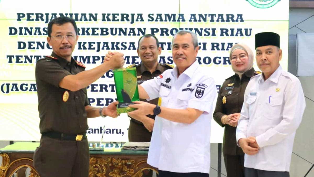 infosawit