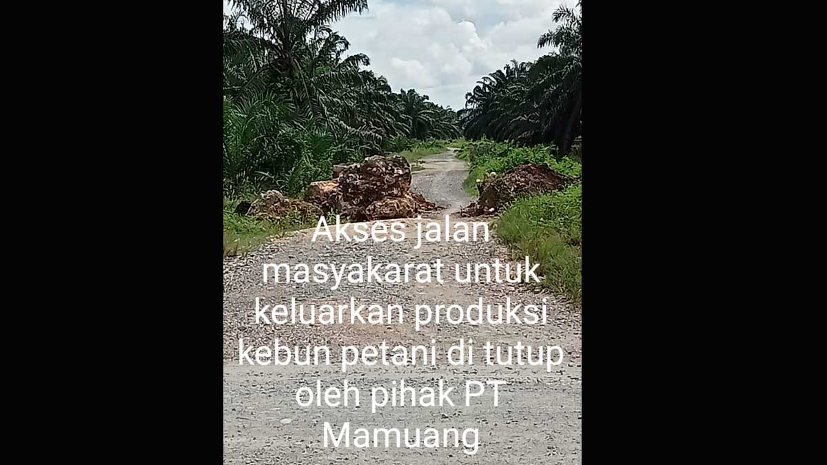 infosawit