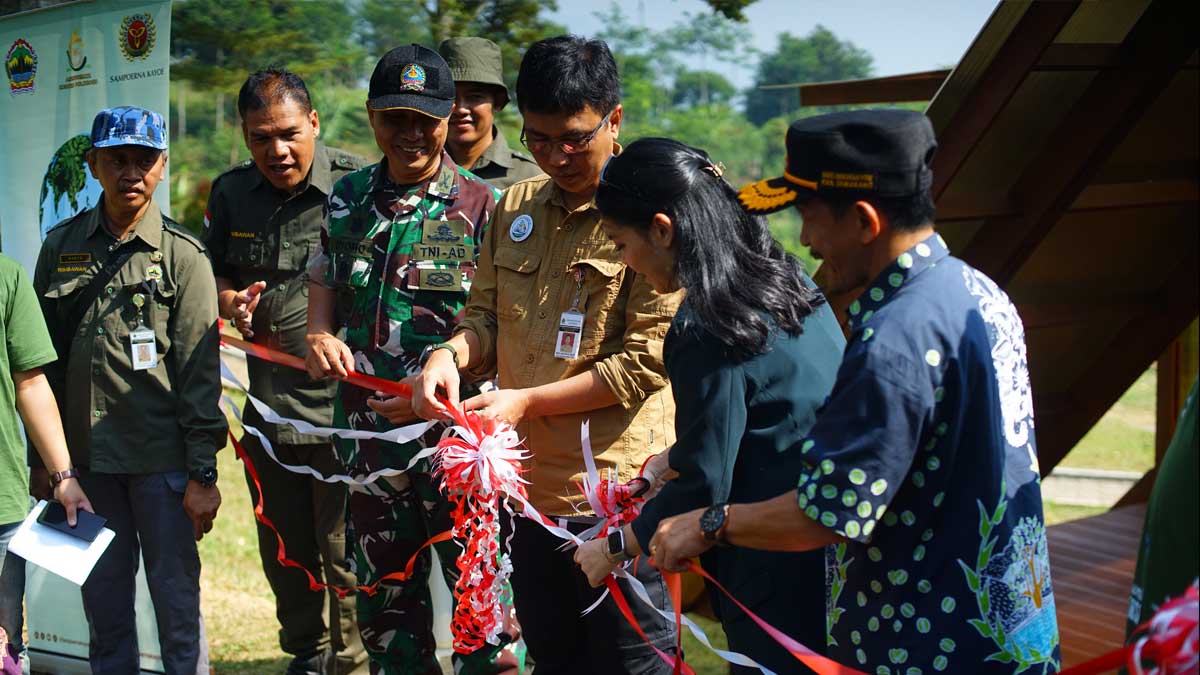 infosawit