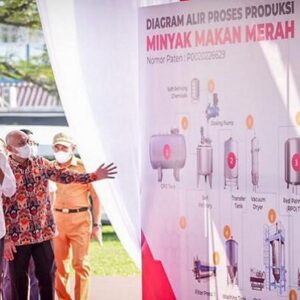 Jokowi Sarankan Koperasi Jadi Produsen Minyak Makan Merah