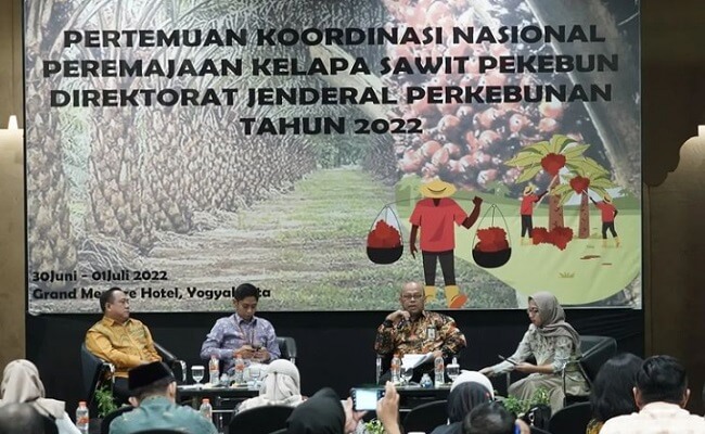 Info Sawit