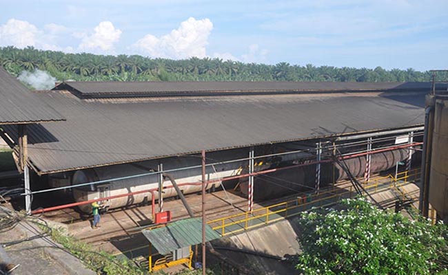 Infosawit