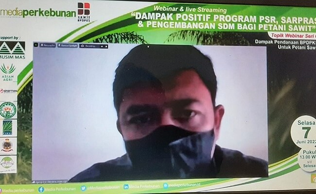 info sawit