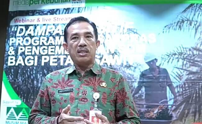 Disbun Jambi: Berikut 6 Manfaat Program Peremajaan Sawit Rakyat info sawit