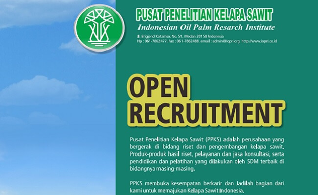 info sawit