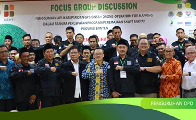 info sawit