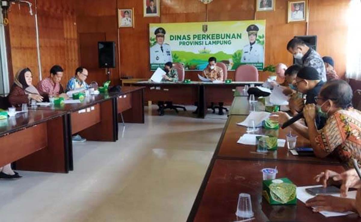 infosawit