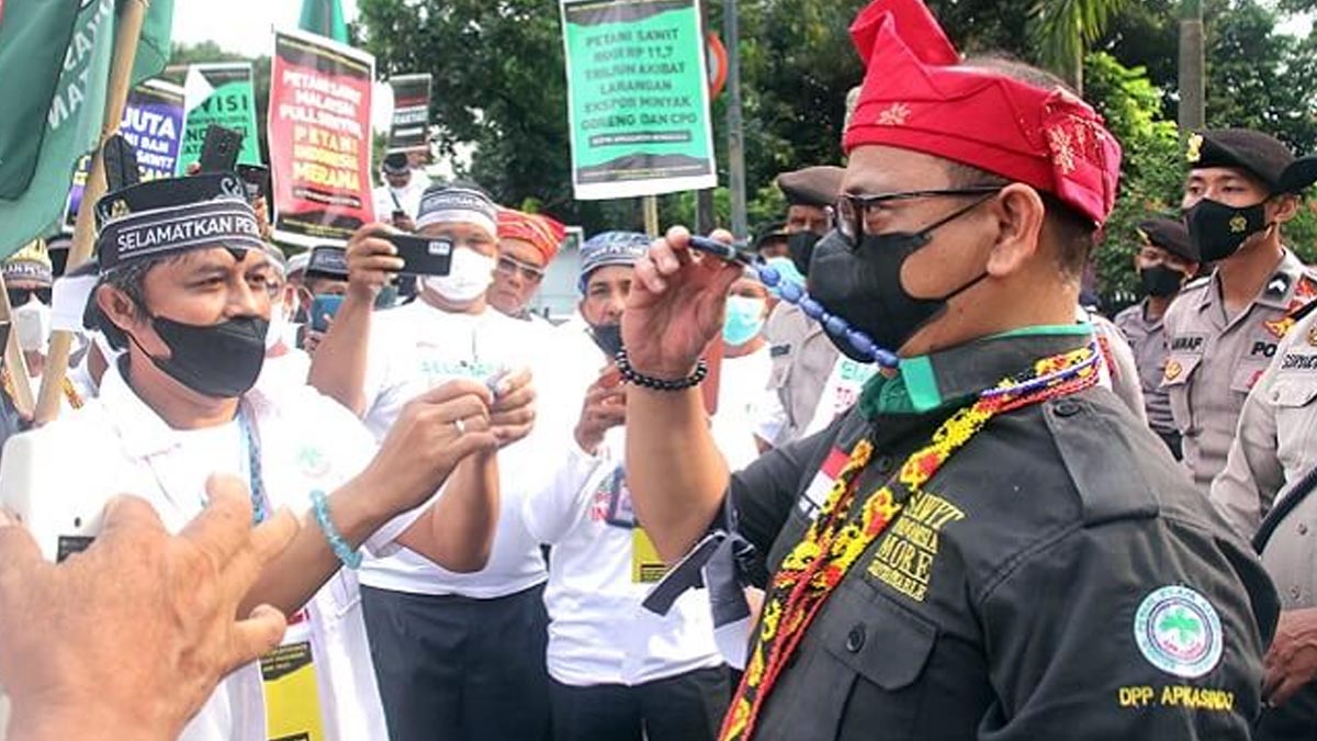 Harga TBS Sawit Tak Kunjung Membaik, Petani Hilang Kesabaran, Segera ke Jakarta Lagi! InfoSAWIT