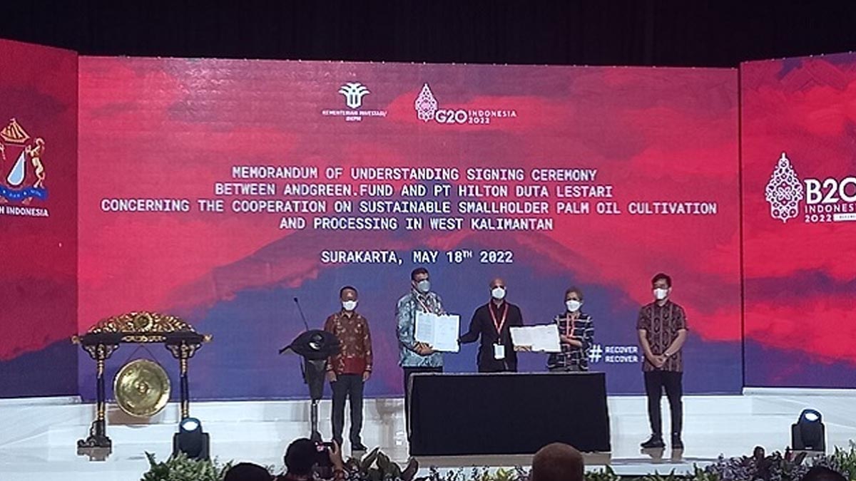 &Green Investasi US$ 12 Juta di Perkebunan Kelapa Sawit PT Hilton Duta Lestari InfoSAWIT