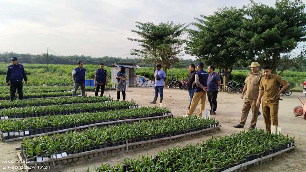 infoSAWIT