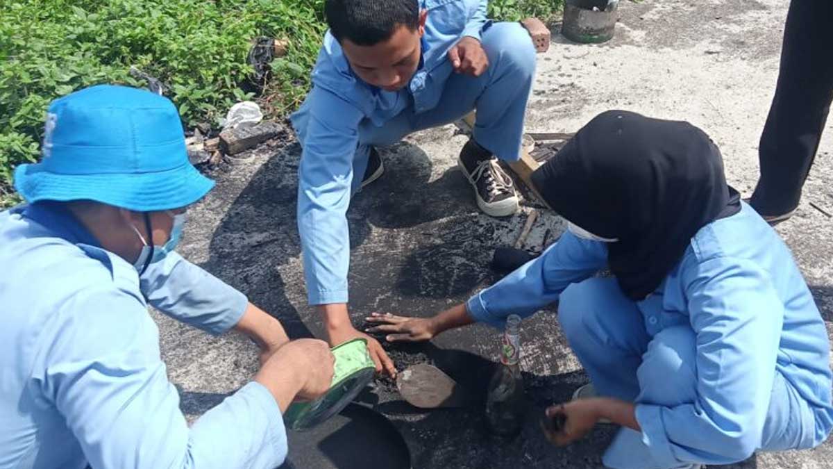 InfoSAWIT