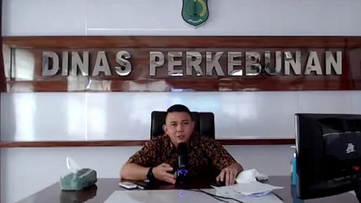 InfoSAWIT