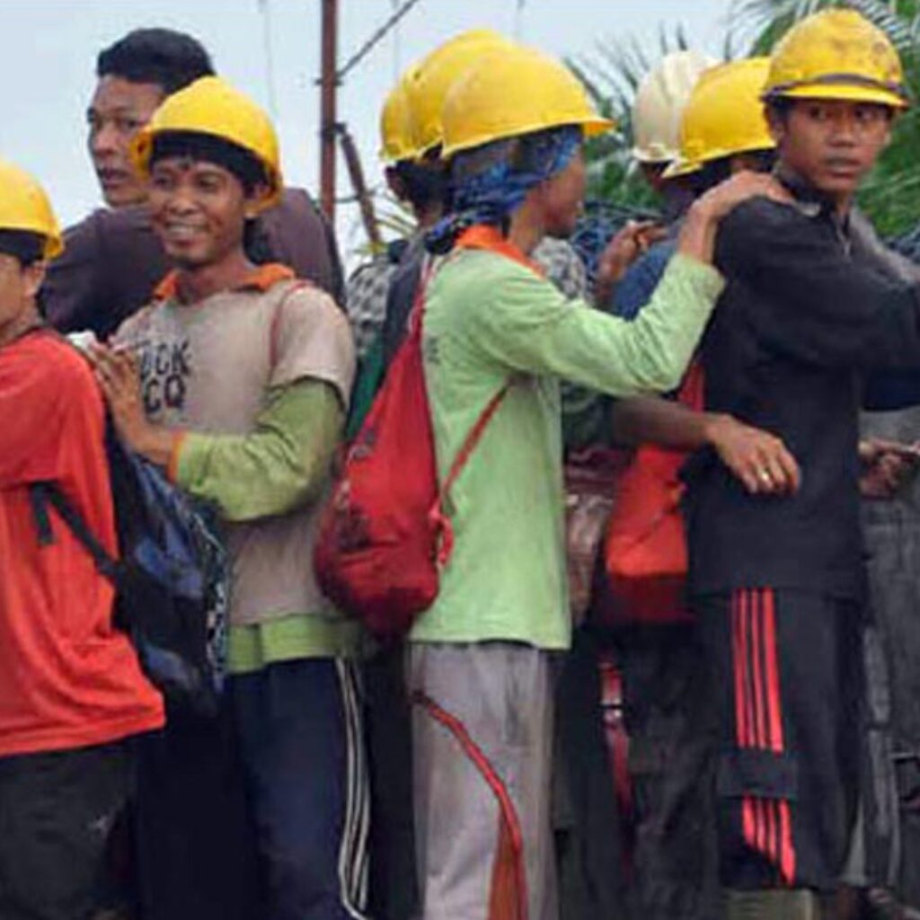 InfoSAWIT