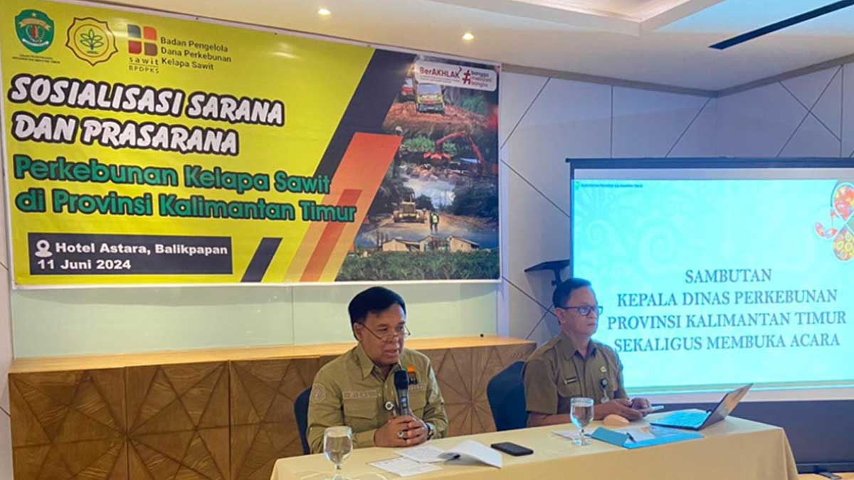 InfoSAWIT