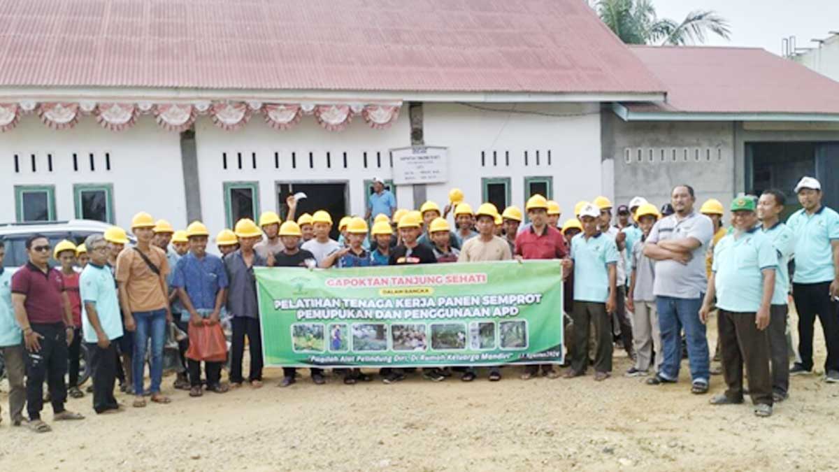 InfoSAWIT