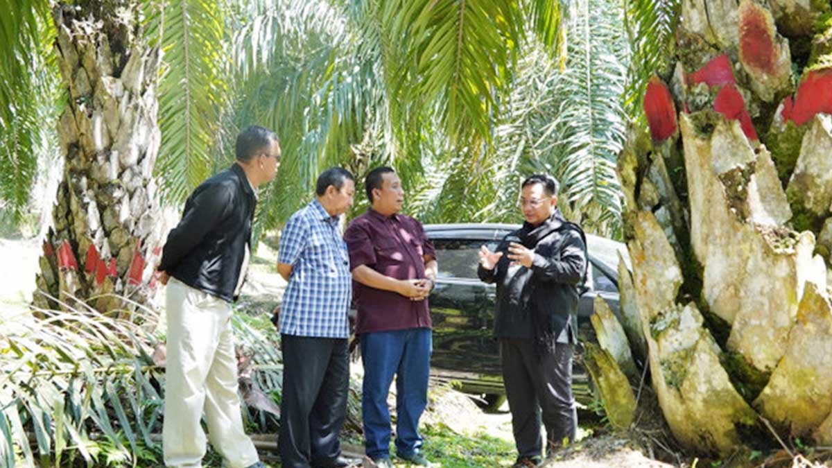 InfoSAWIT