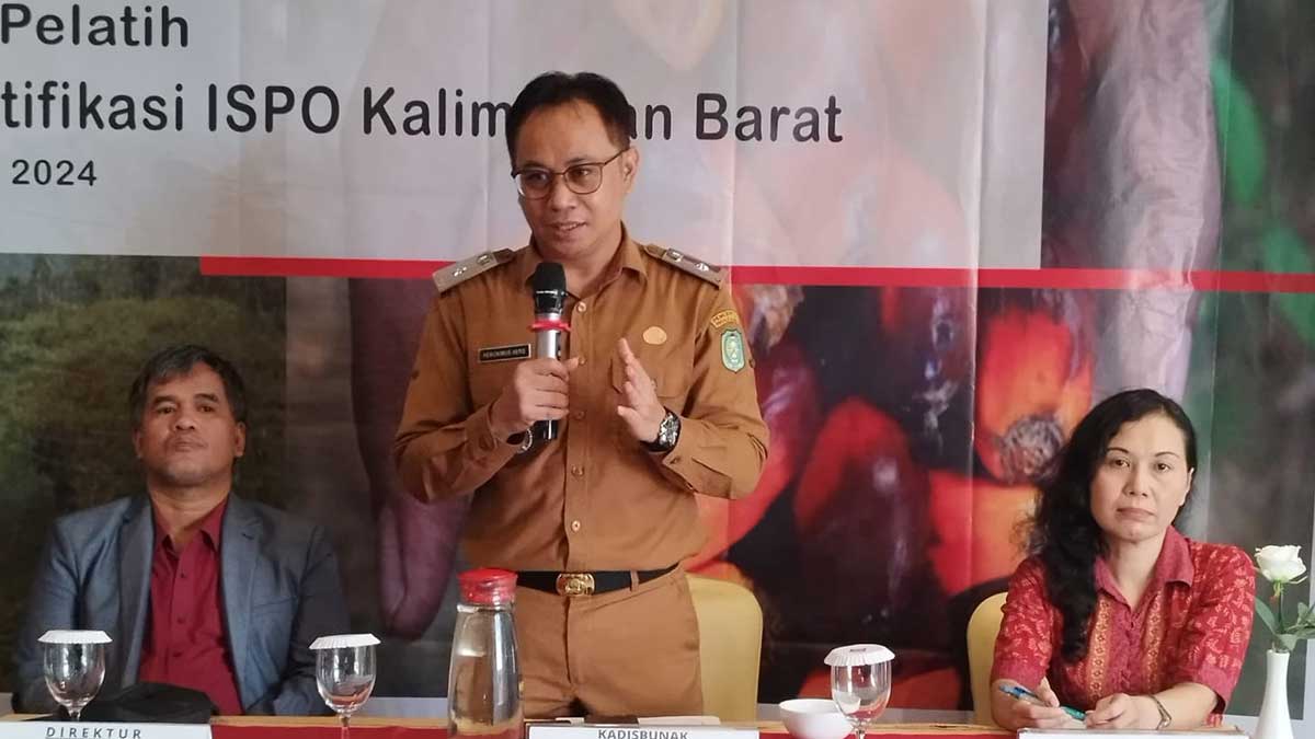 InfoSAWIT