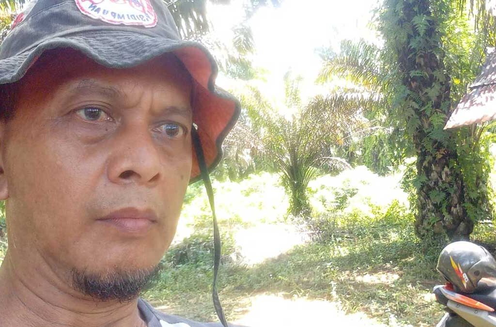 InfoSAWIT