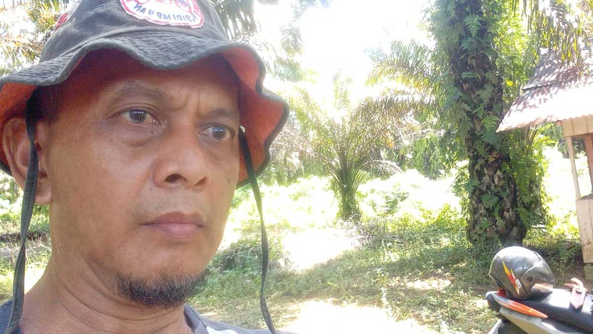 InfoSAWIT