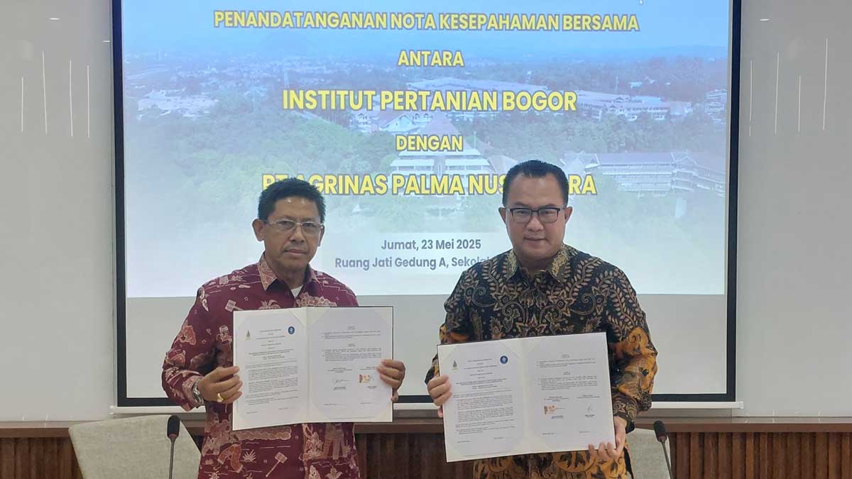 InfoSAWIT