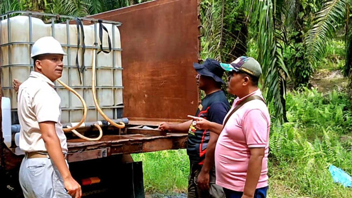 Agrinas-Kebun-Sawit-di-Kalsel InfoSAWIT