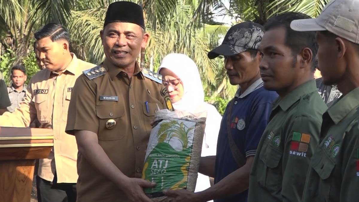 InfoSAWIT