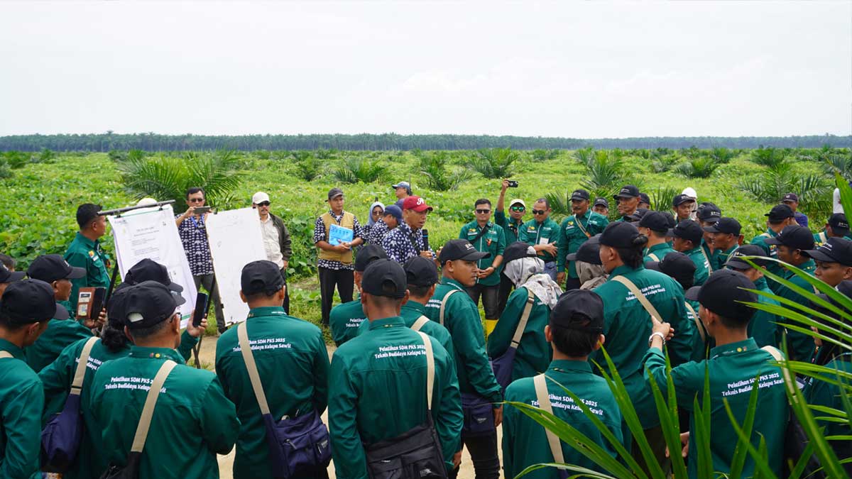 InfoSAWIT