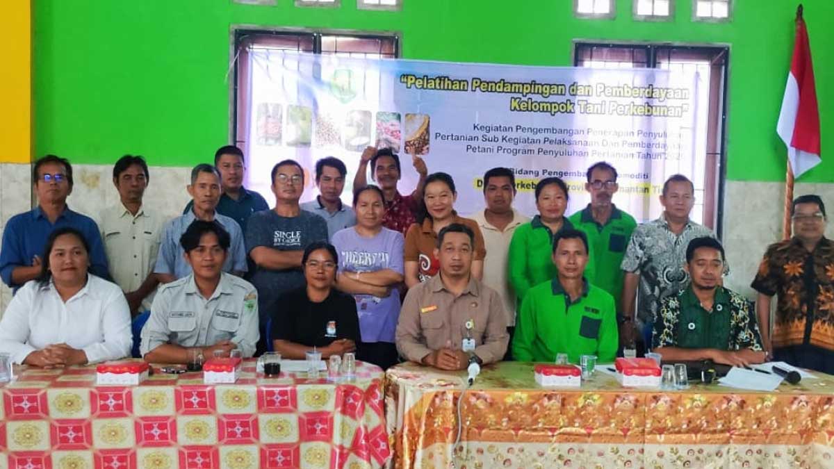 InfoSAWIT
