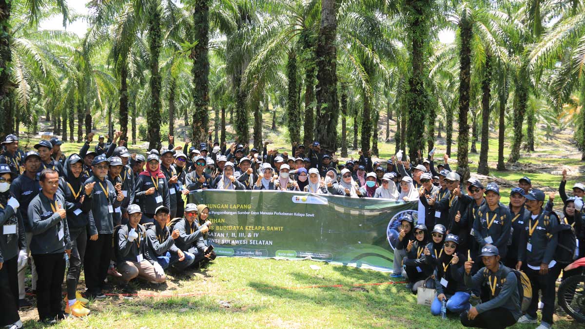 InfoSAWIT