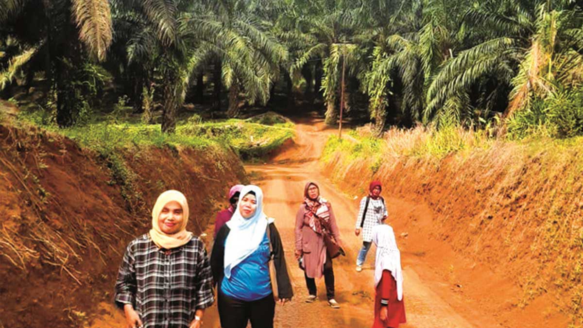 InfoSAWIT