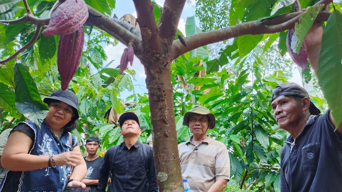 InfoSAWIT