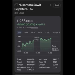 NSS-19-feb26 InfoSAWIT
