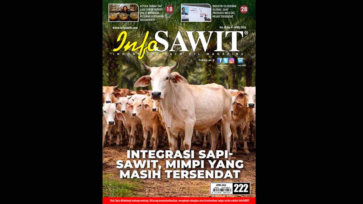 InfoSAWIT