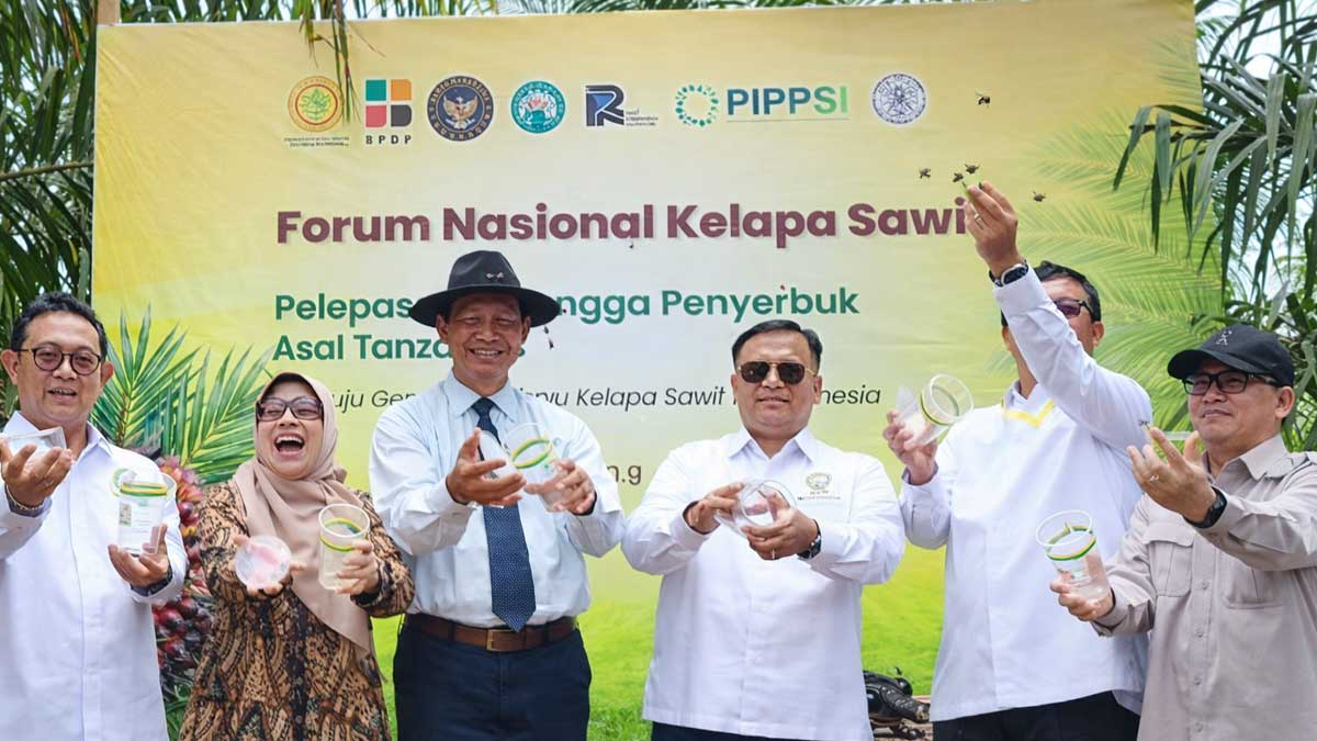InfoSAWIT