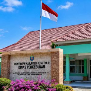 InfoSAWIT
