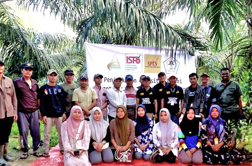 InfoSAWIT