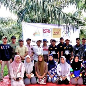 InfoSAWIT