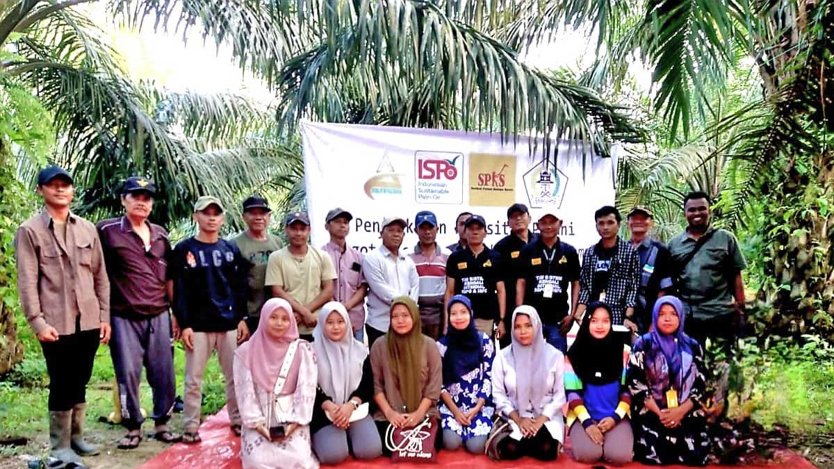 InfoSAWIT