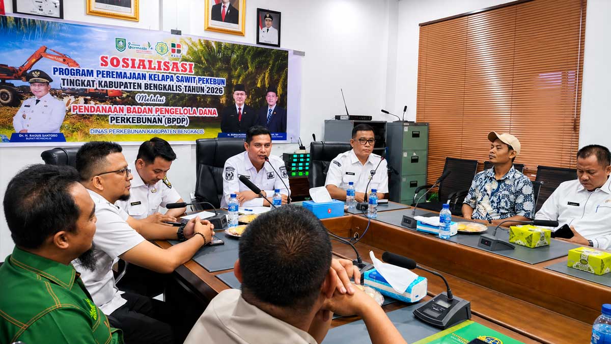 InfoSAWIT