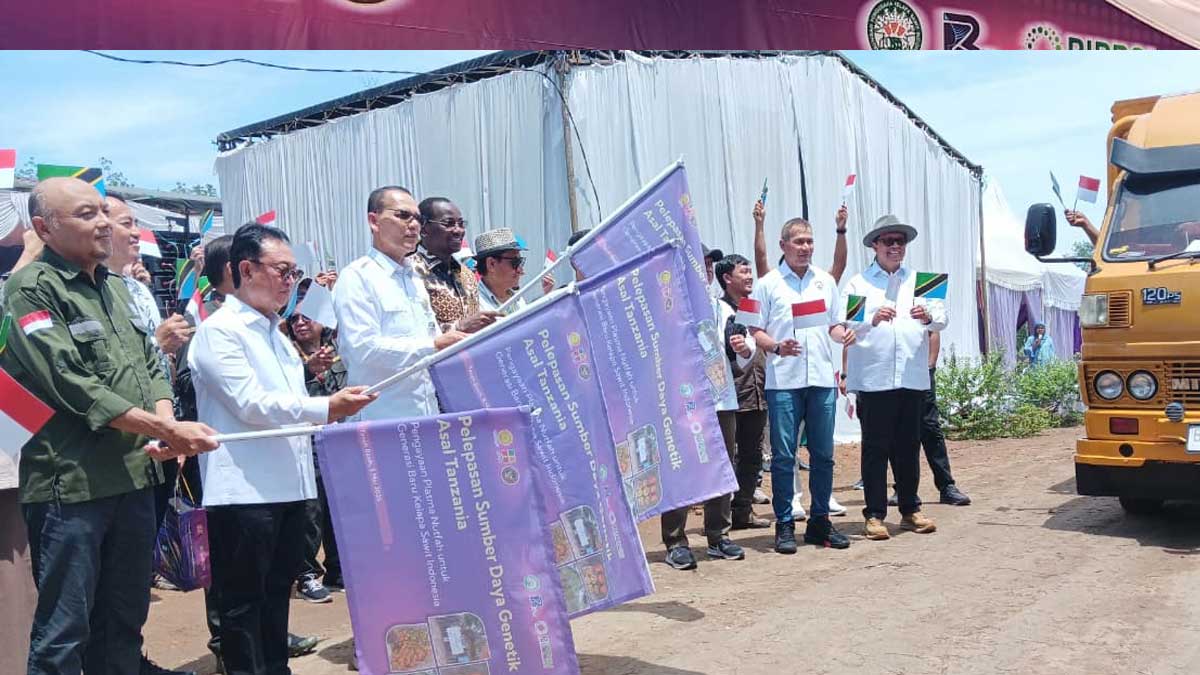 InfoSAWIT